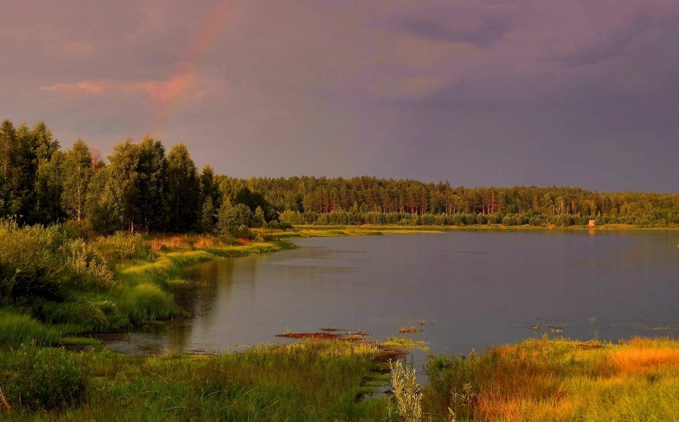 Дождь прошёл, а радуга осталась