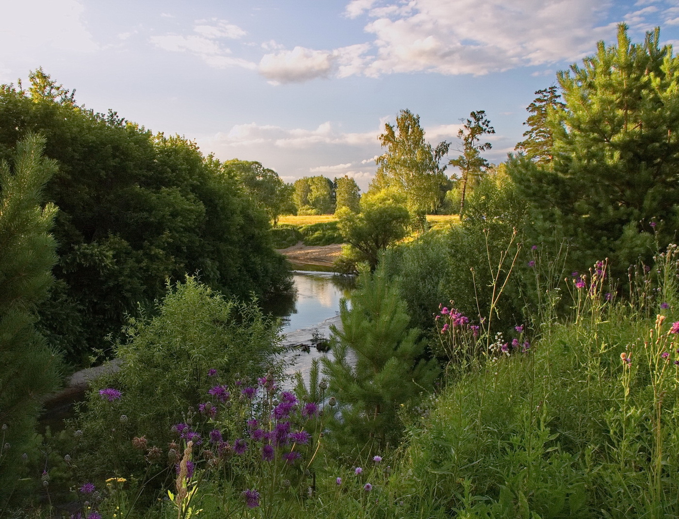 ИЮЛЬСКИЙ ВЕЧЕР.