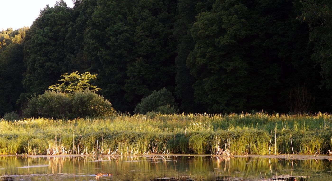 Первый свет нового дня