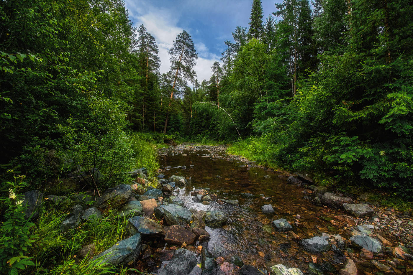 Июльский день