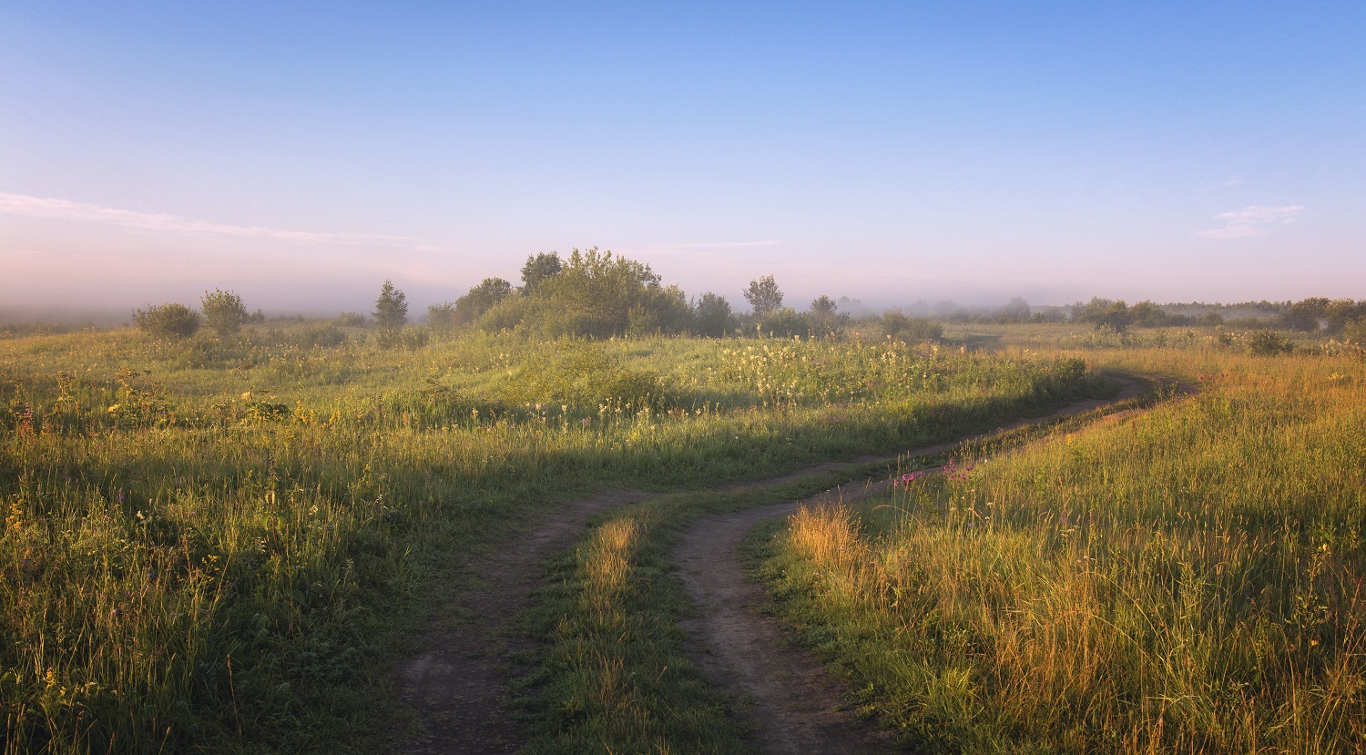 В свете утра.