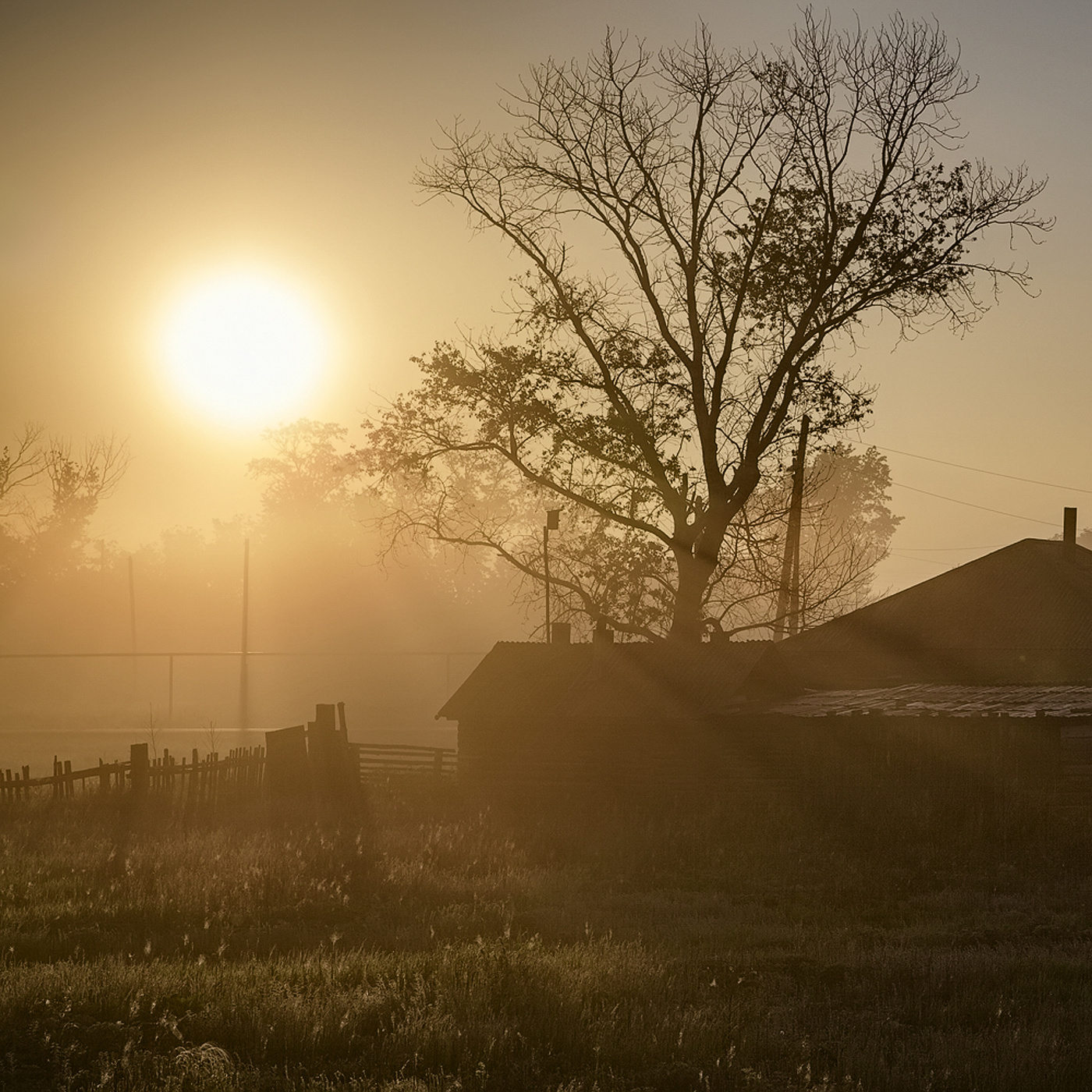 Утро Кочкаря