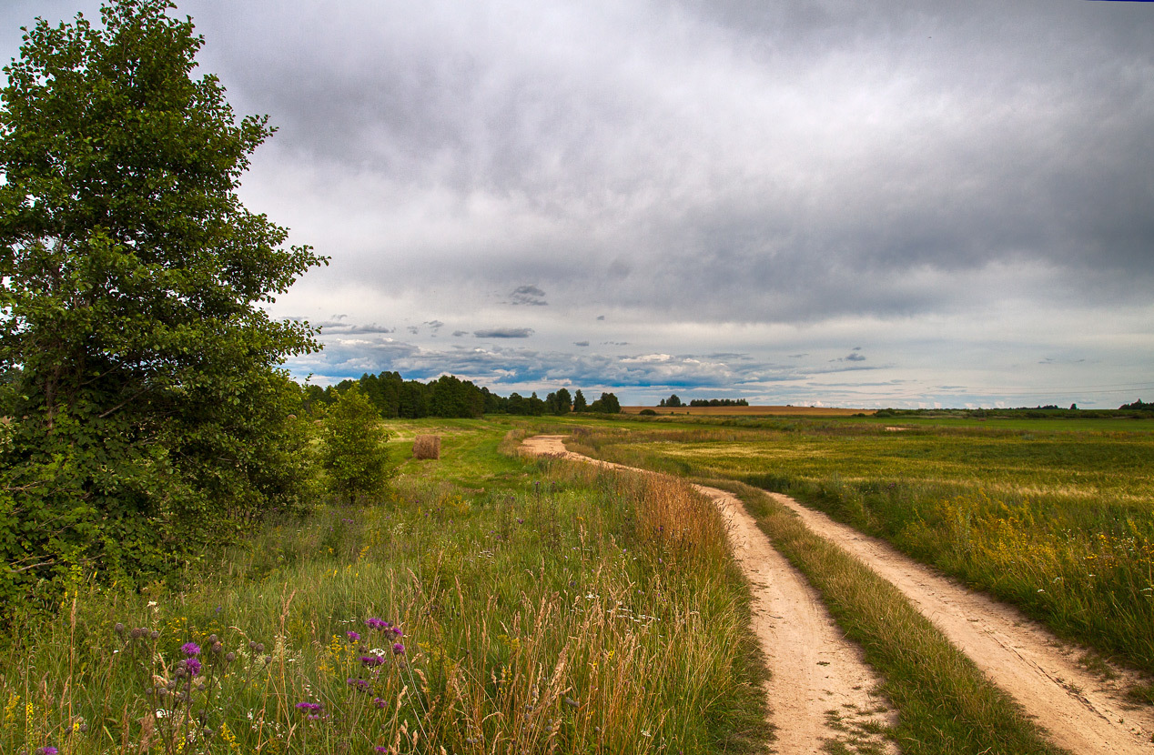 Родные места