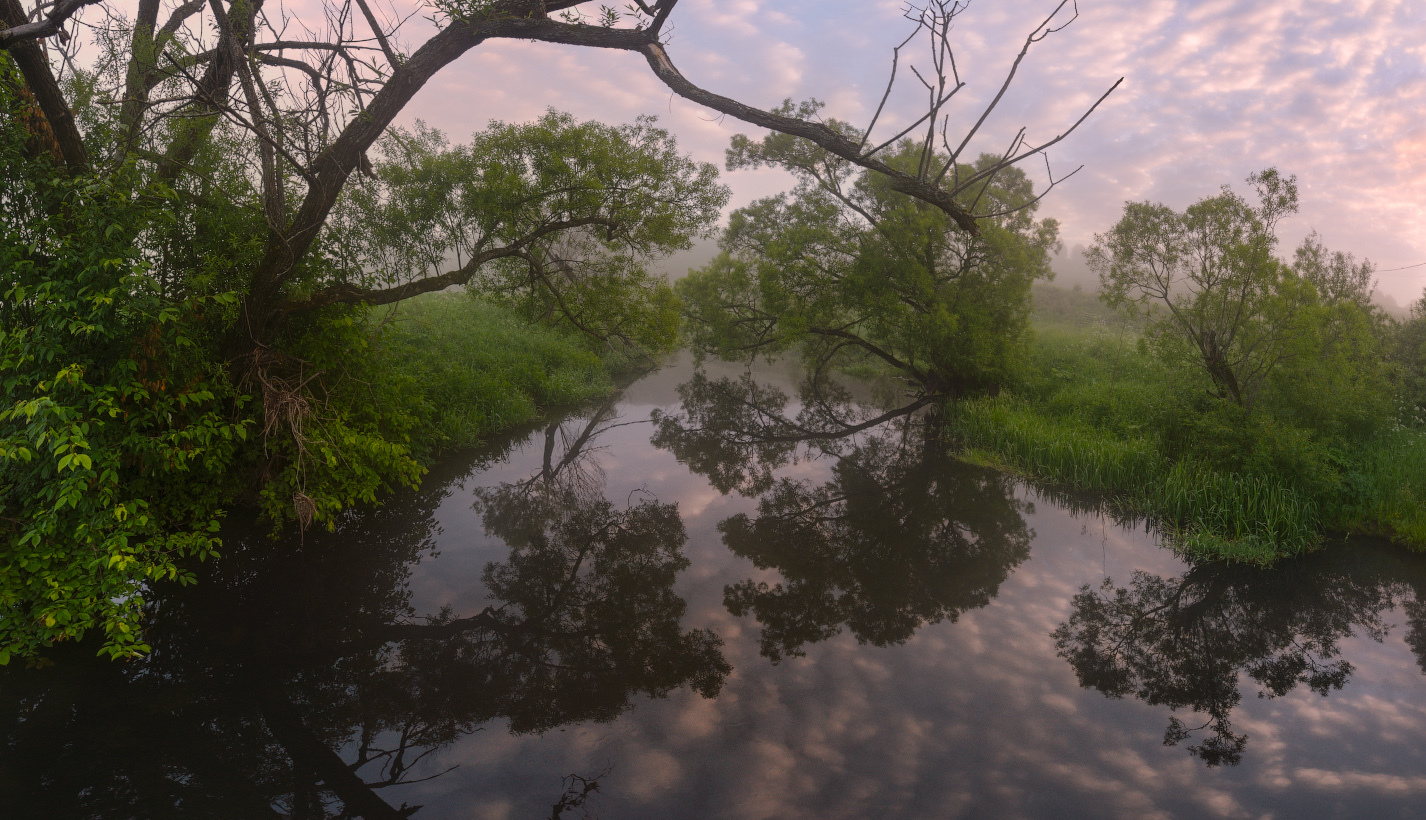 Июньское утро на Снежеди