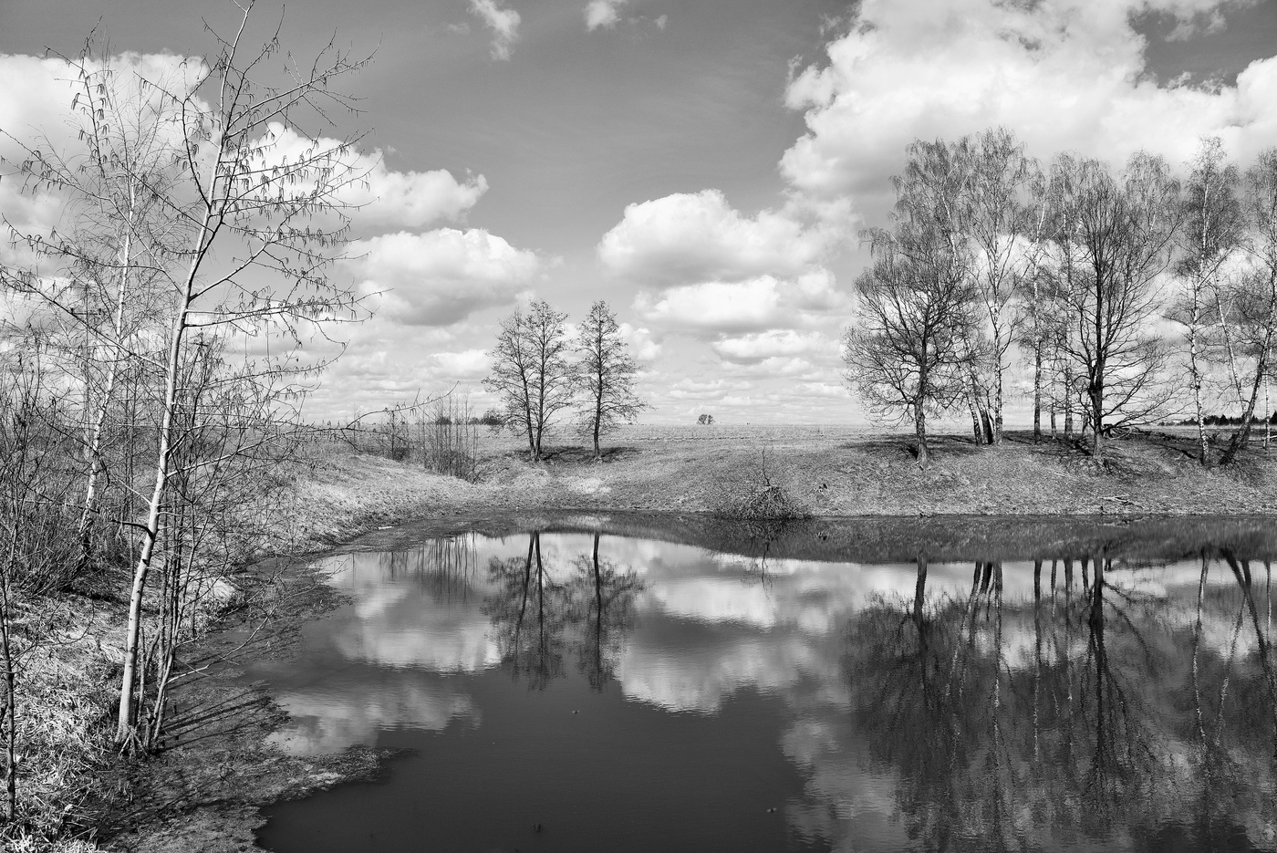 Черно - белое настроение ...