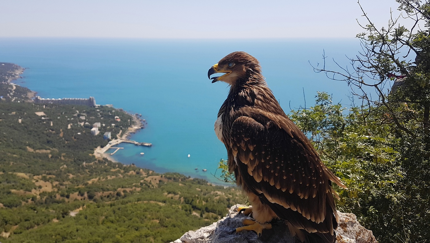 Дух времени