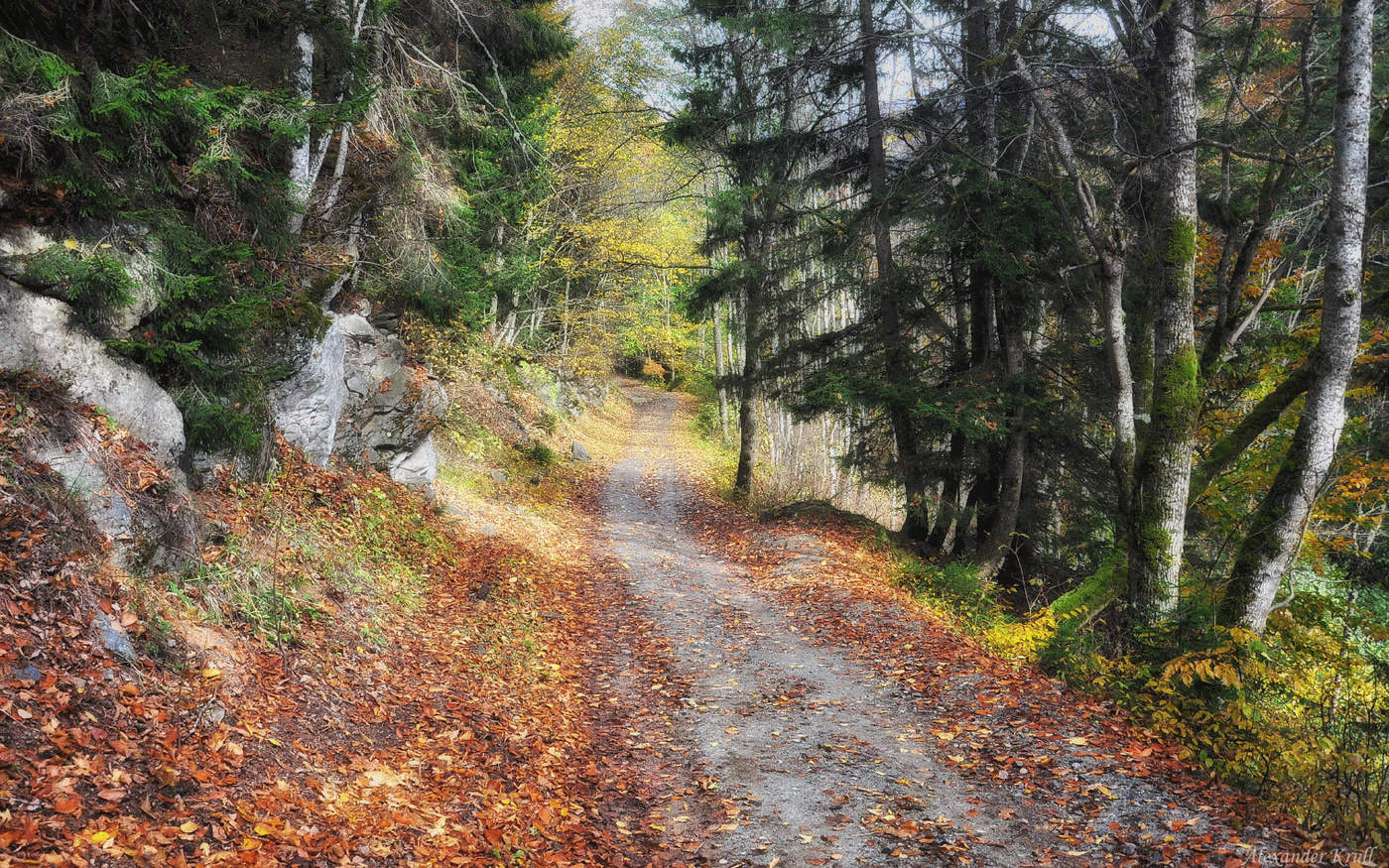 Когда с осенью по пути...