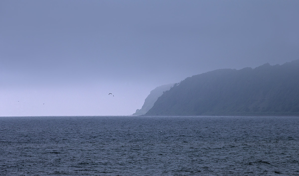 Туманность Сахалина