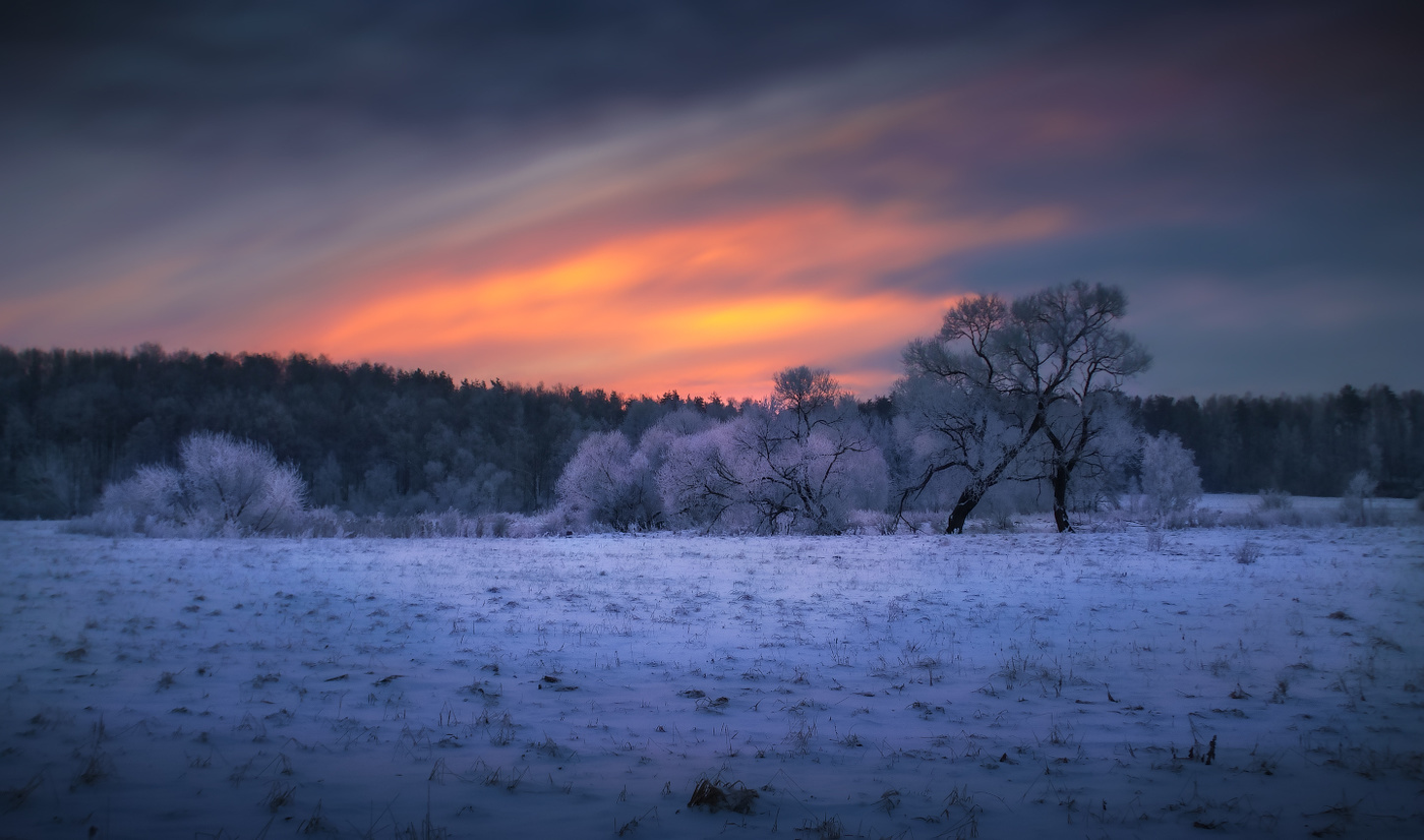 Предрассветный январь