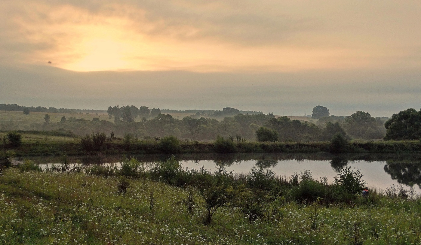 Июльское туманное утро