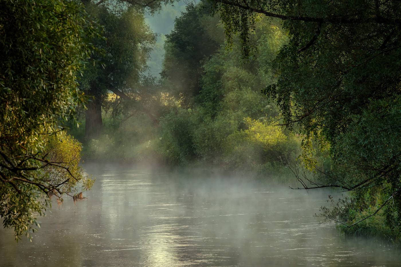 Кисельные берега 4