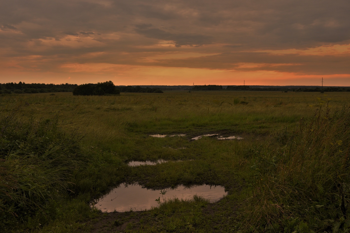 В поле после вечернего дождя ...