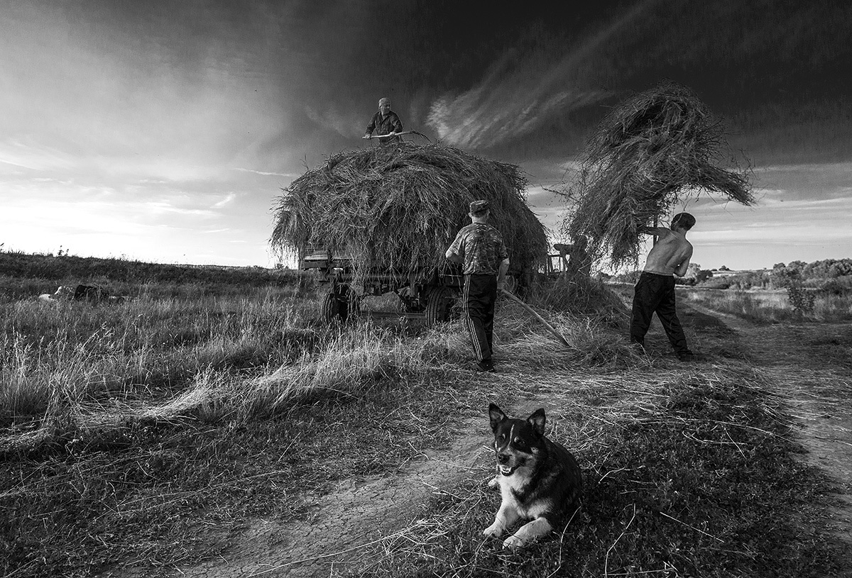 Сенокос... (2)