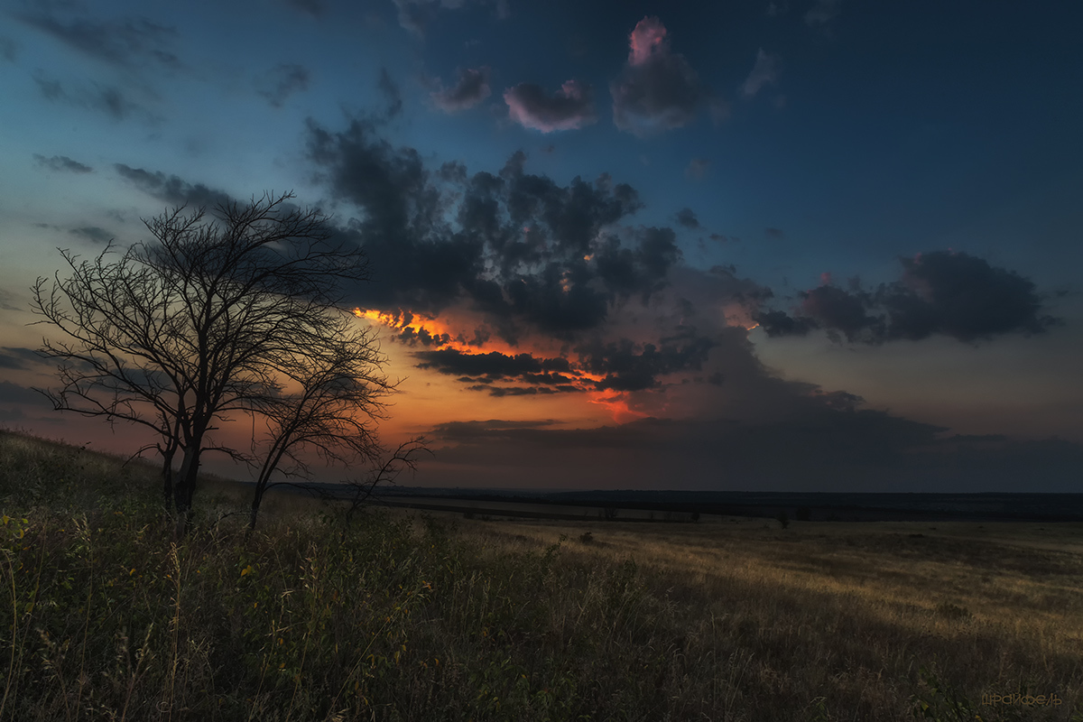 Однажды вечером в июле