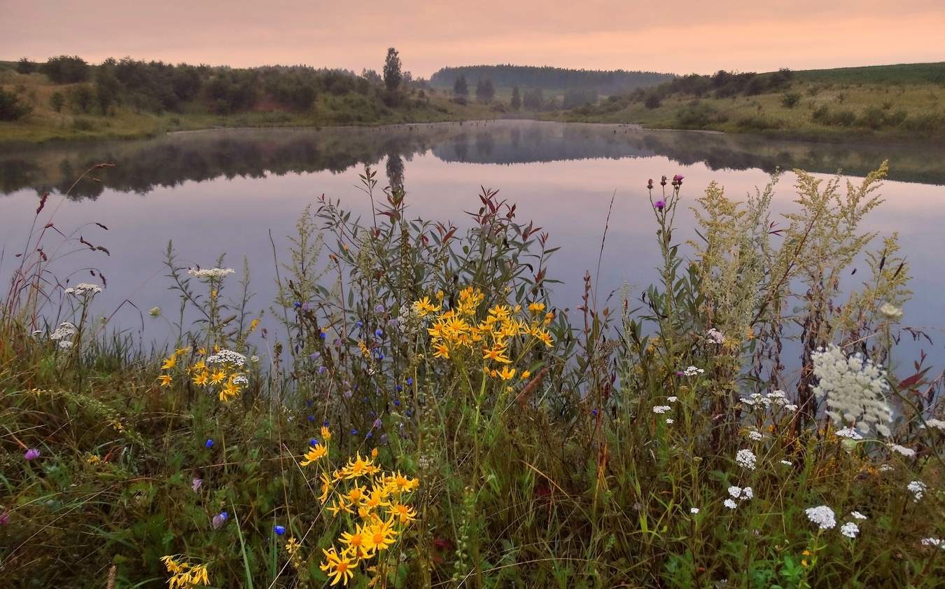 Приозёрный цветочный натюрморт