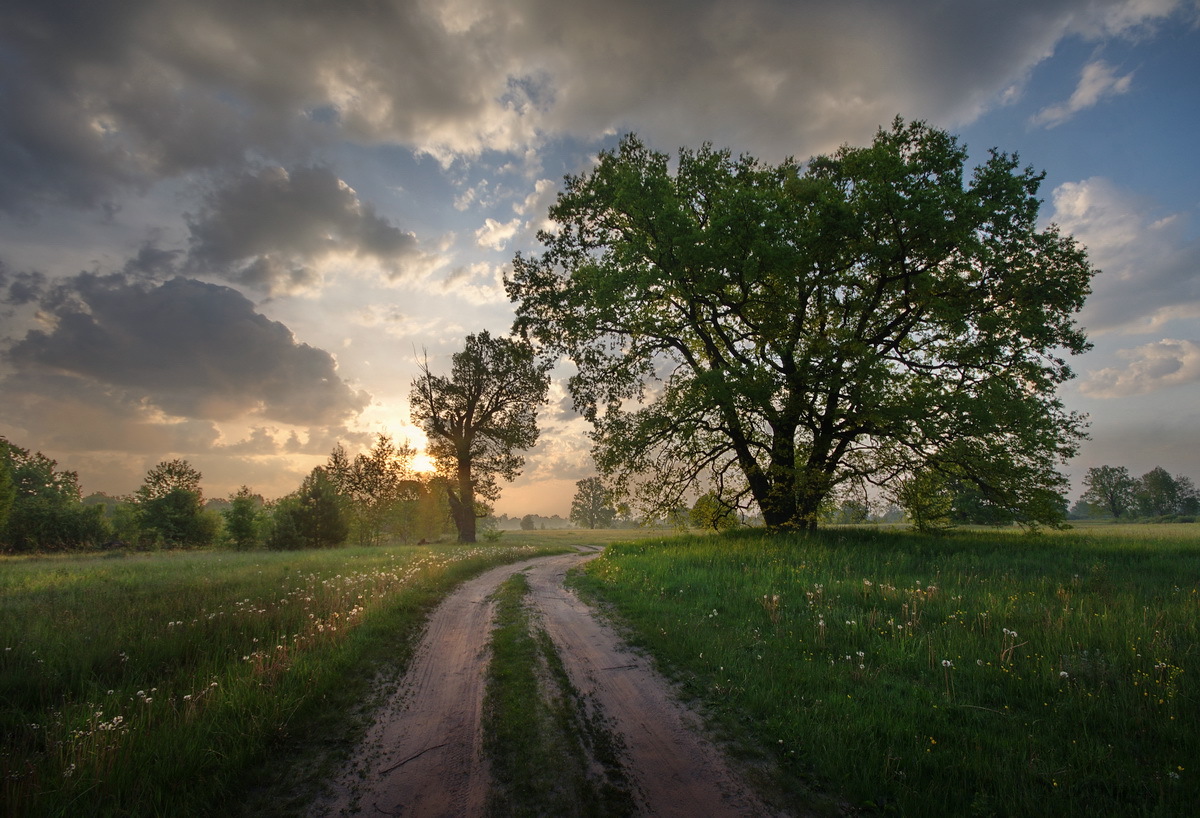 Про майский рассвет