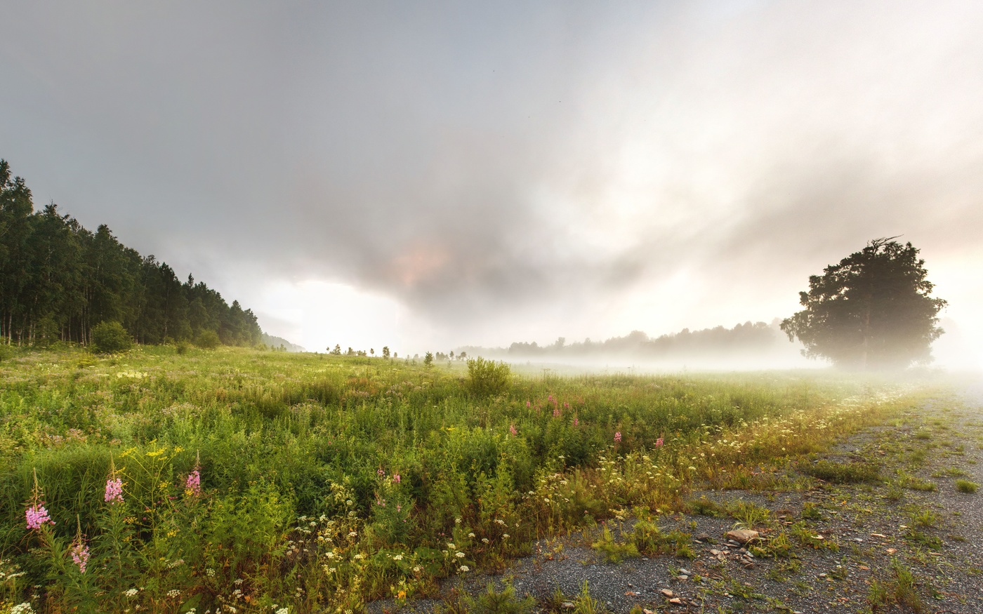 Туманный вечер