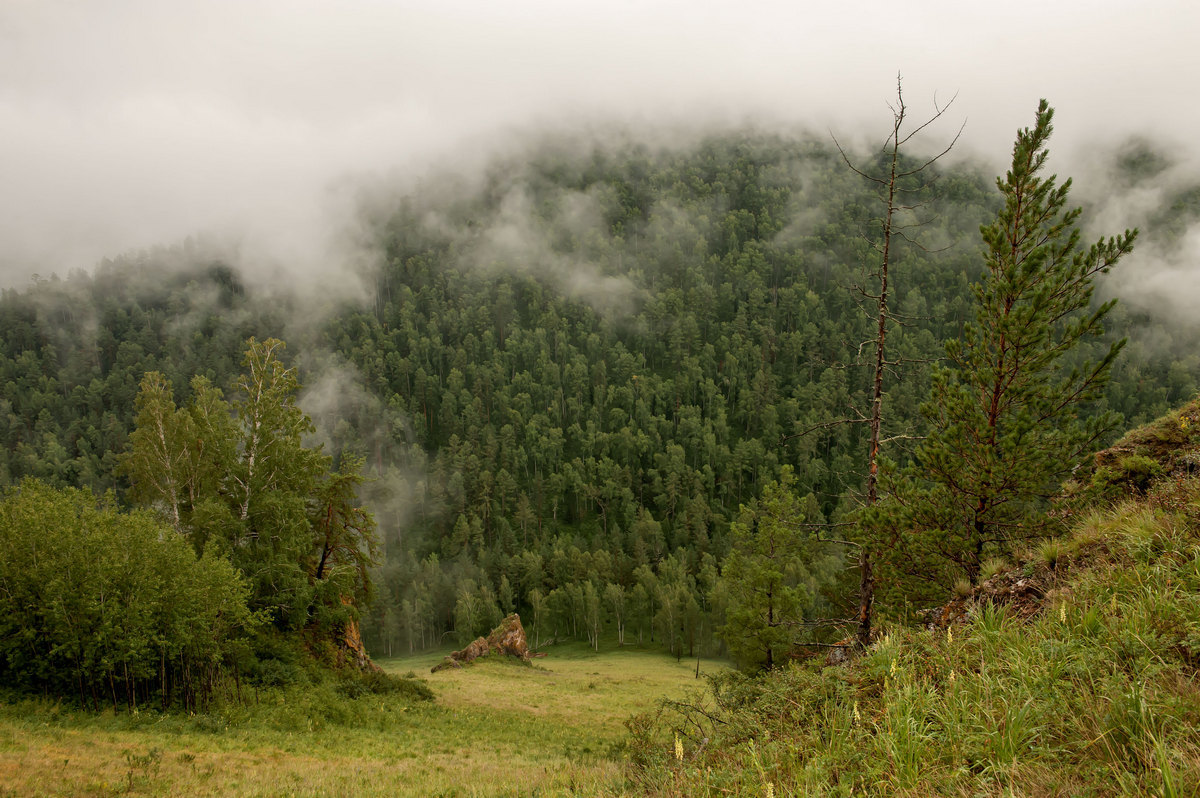 Внезапно набежал туман