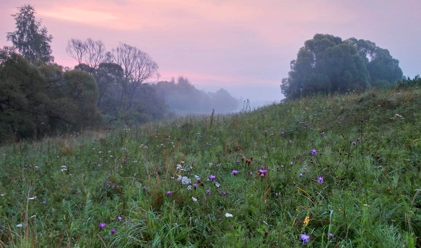 Кое-что о лете