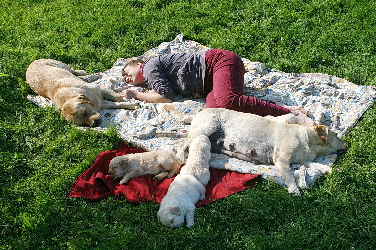 Кое-что о лете