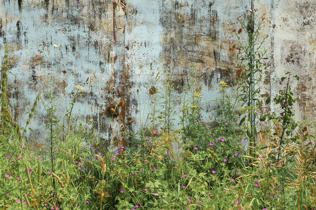 О лете кой-чего