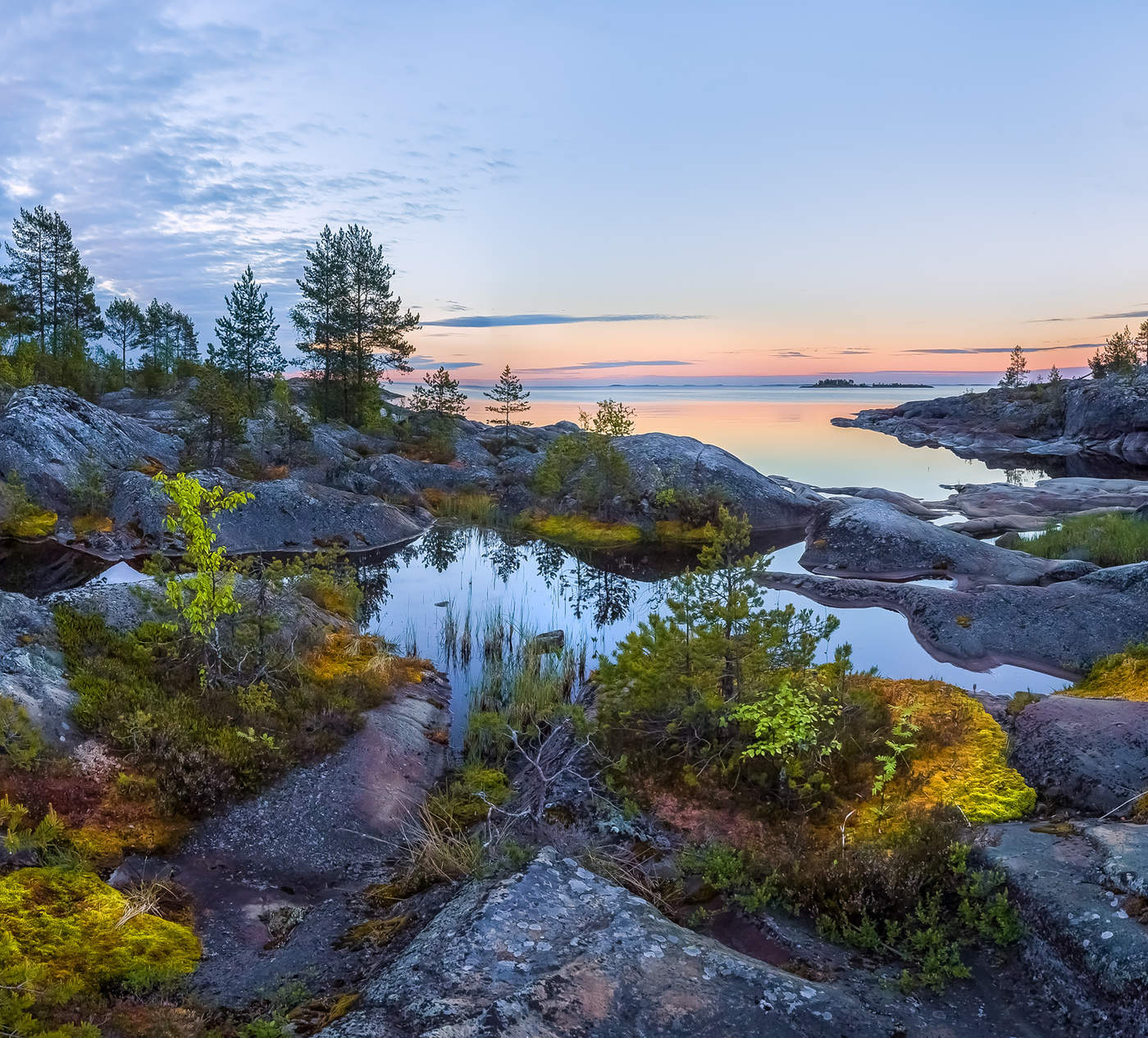 Болотный бансай на Ладожском граните