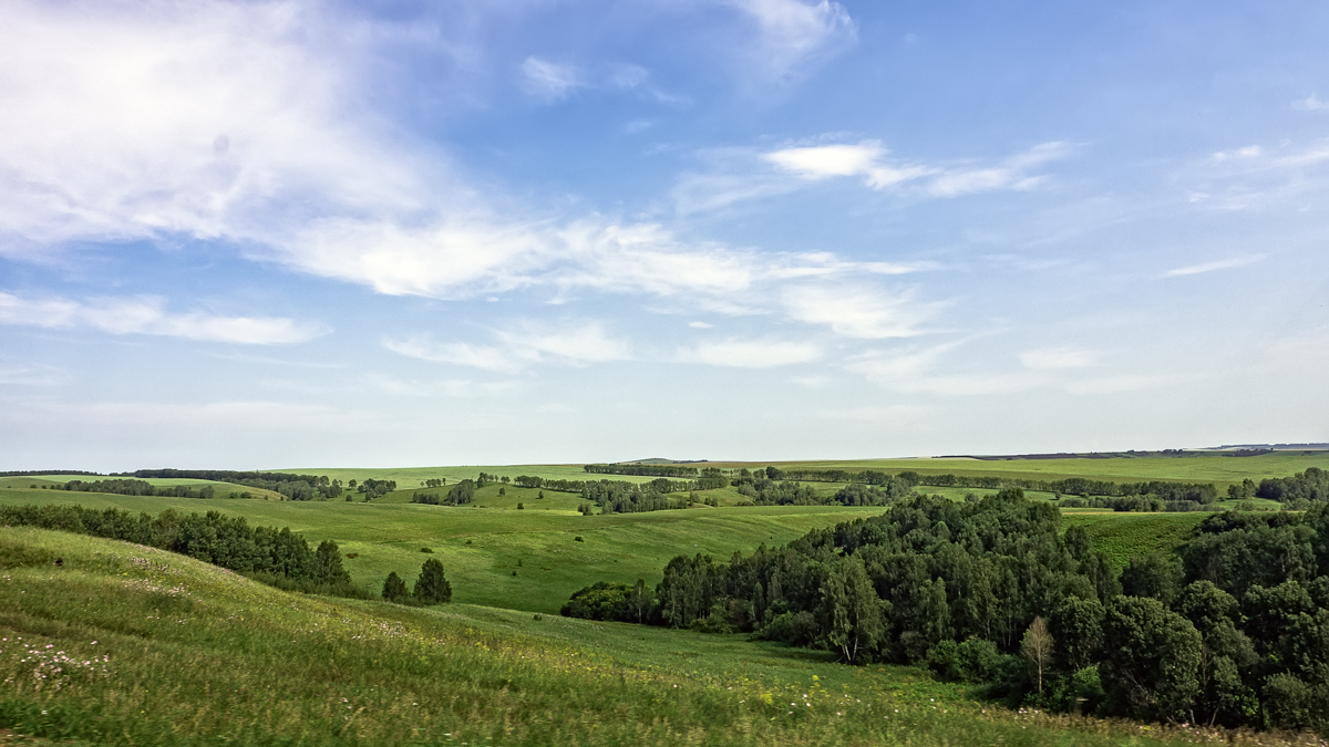 Равнины Алтая