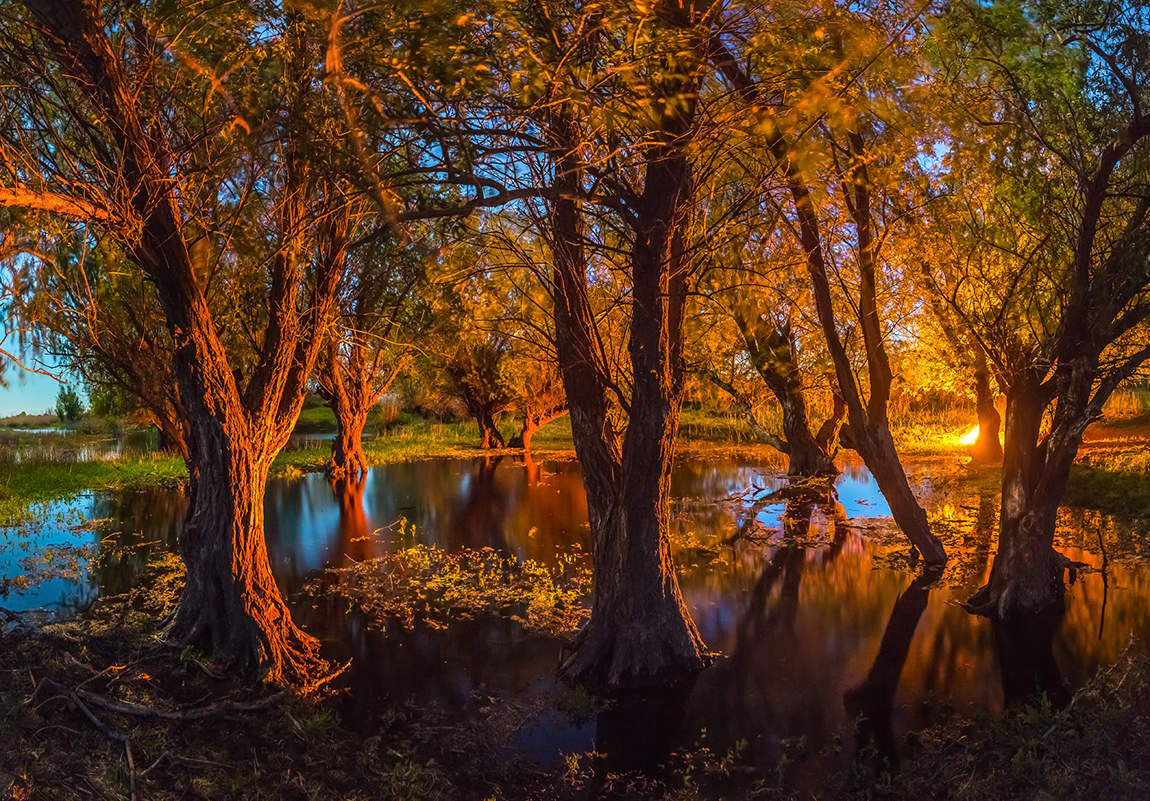 Из серии «Шаманские танцы у костра»