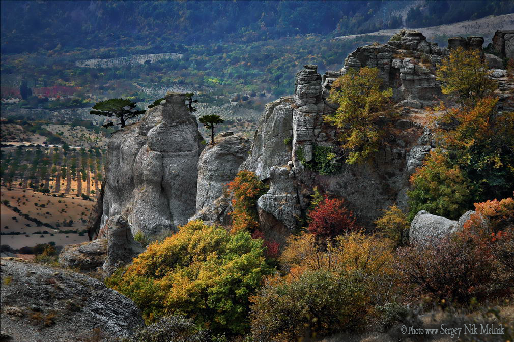 «Цветущая» Долина Привидений