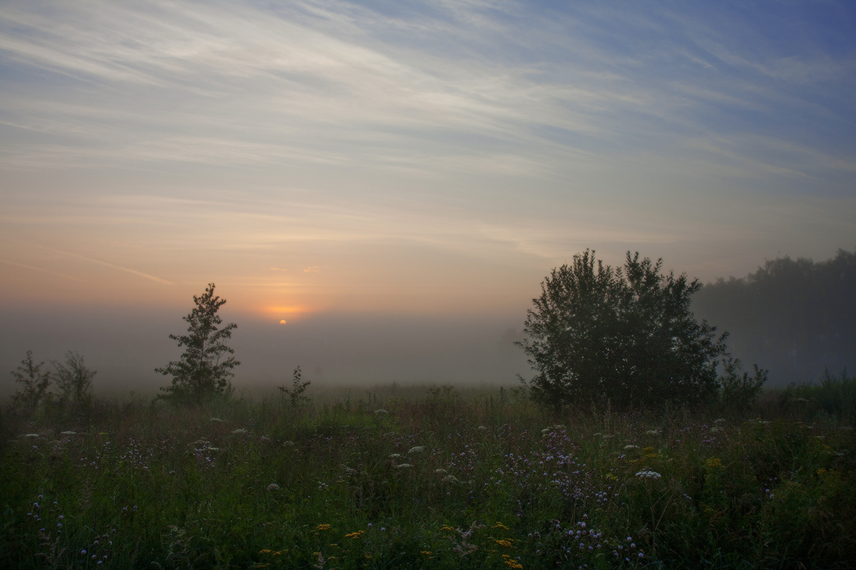 Солнышко просыпается