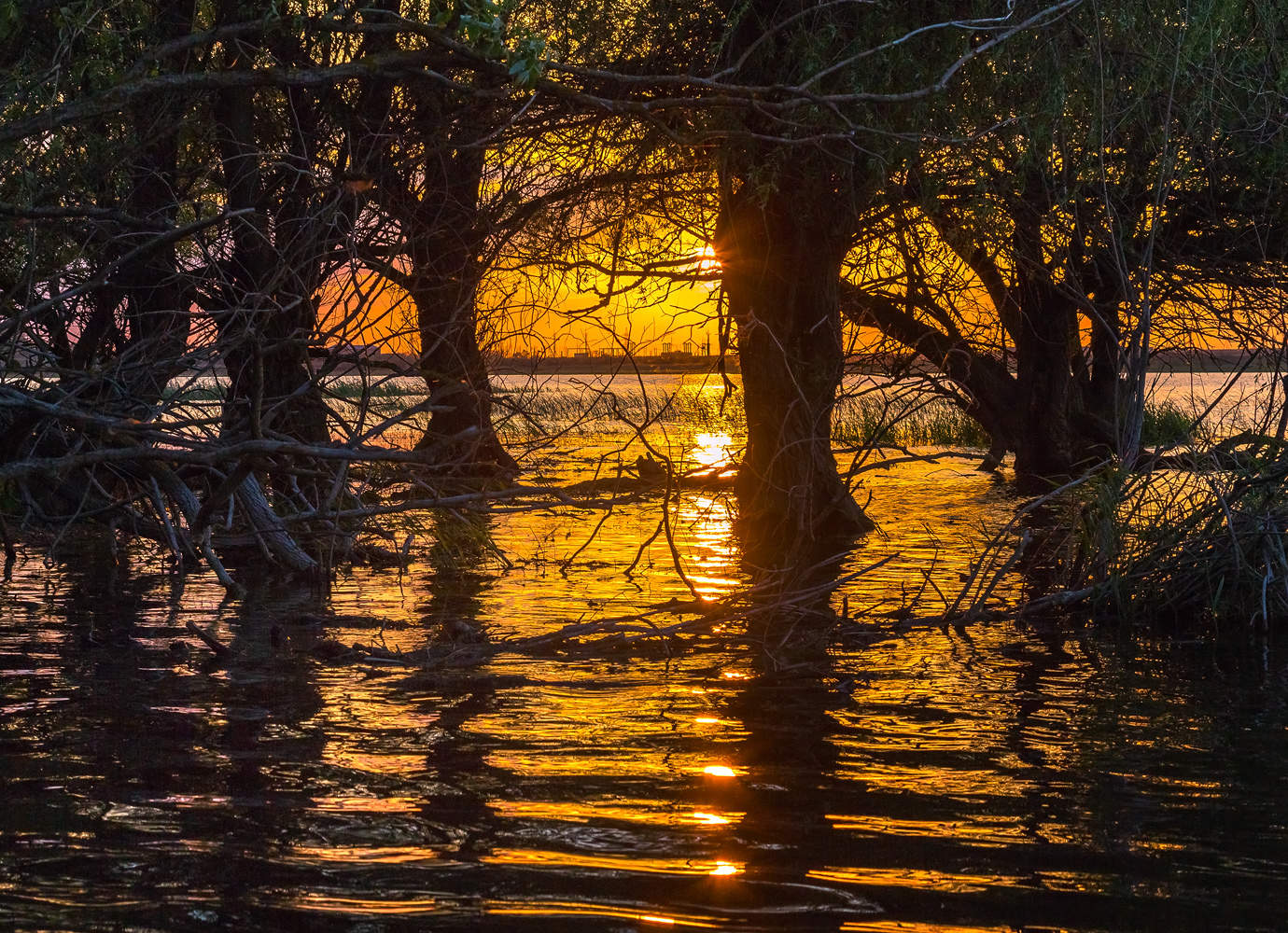 Там, где живёт сказка