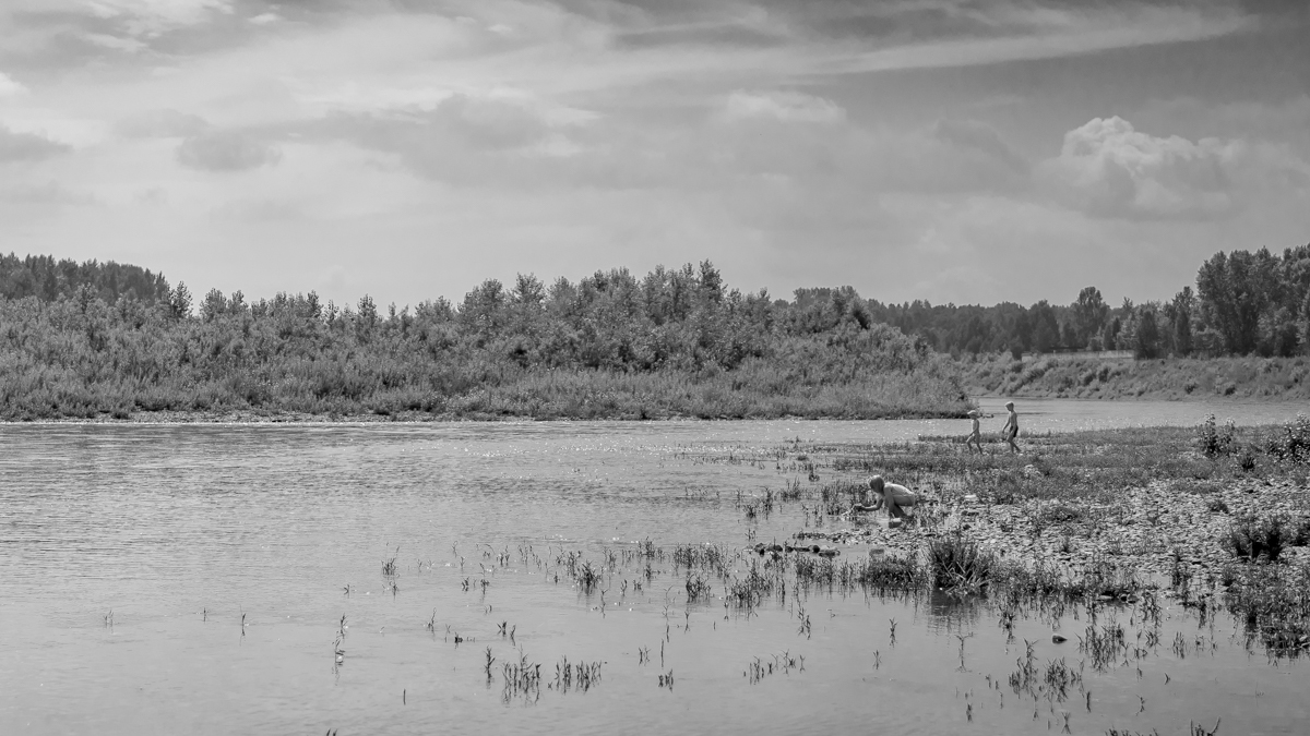 Дети на реке