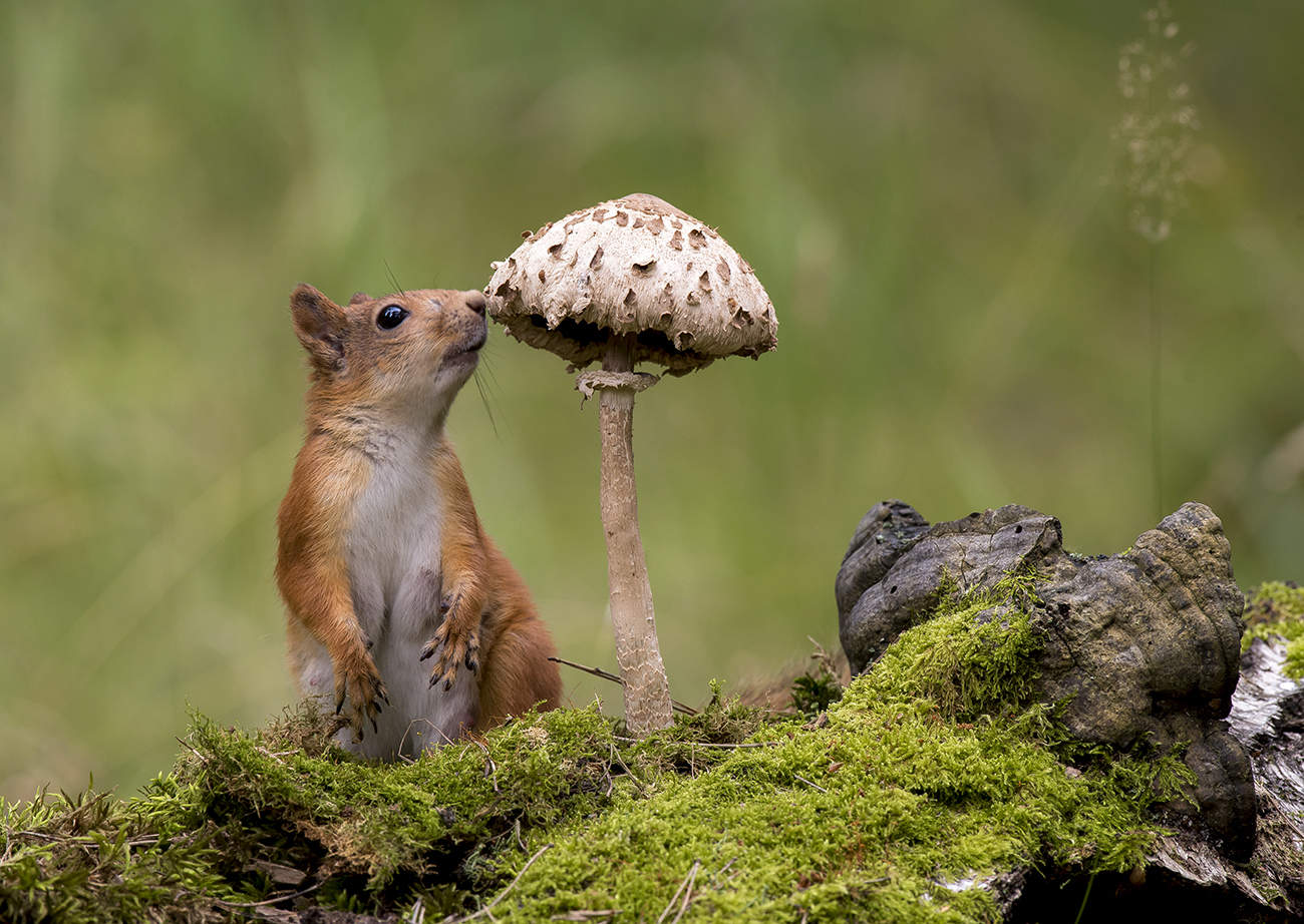 Не внушает доверия.