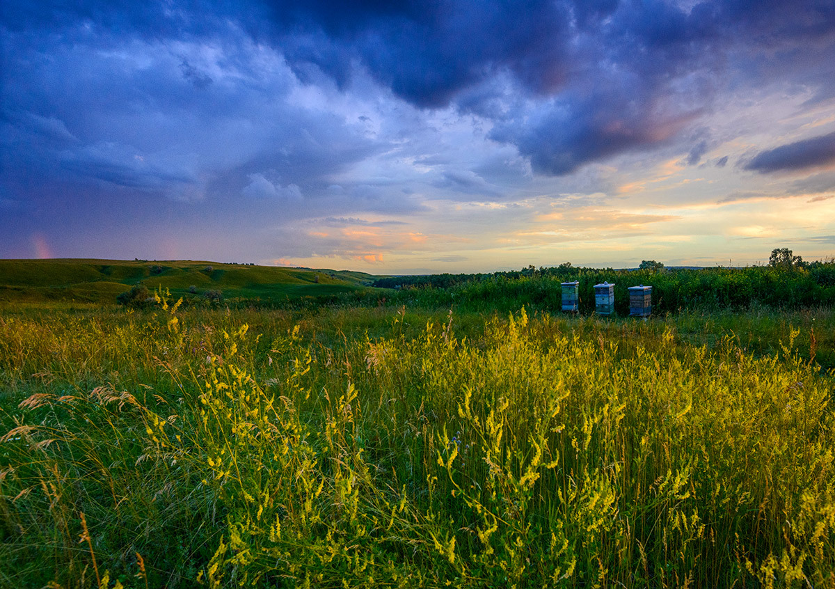 Разноцветье...