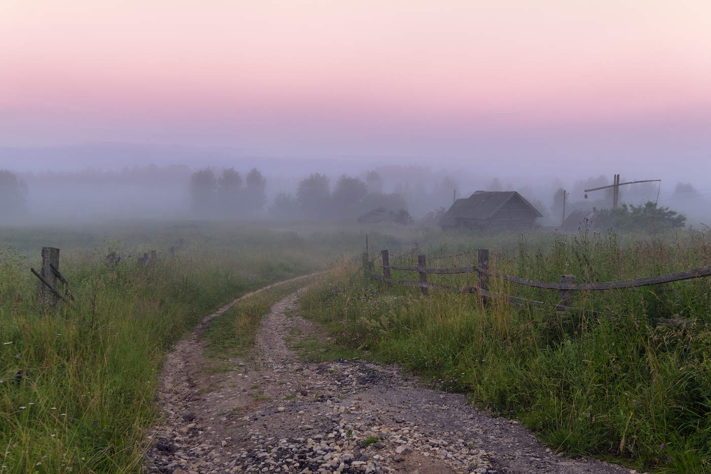 Дорога в предрассветный туман