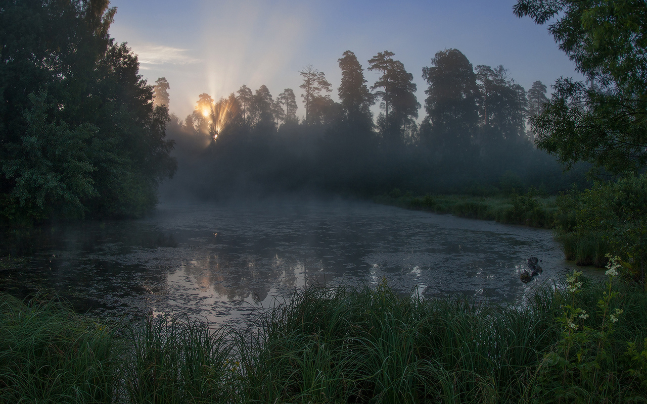 проснулось солнышко лучистое