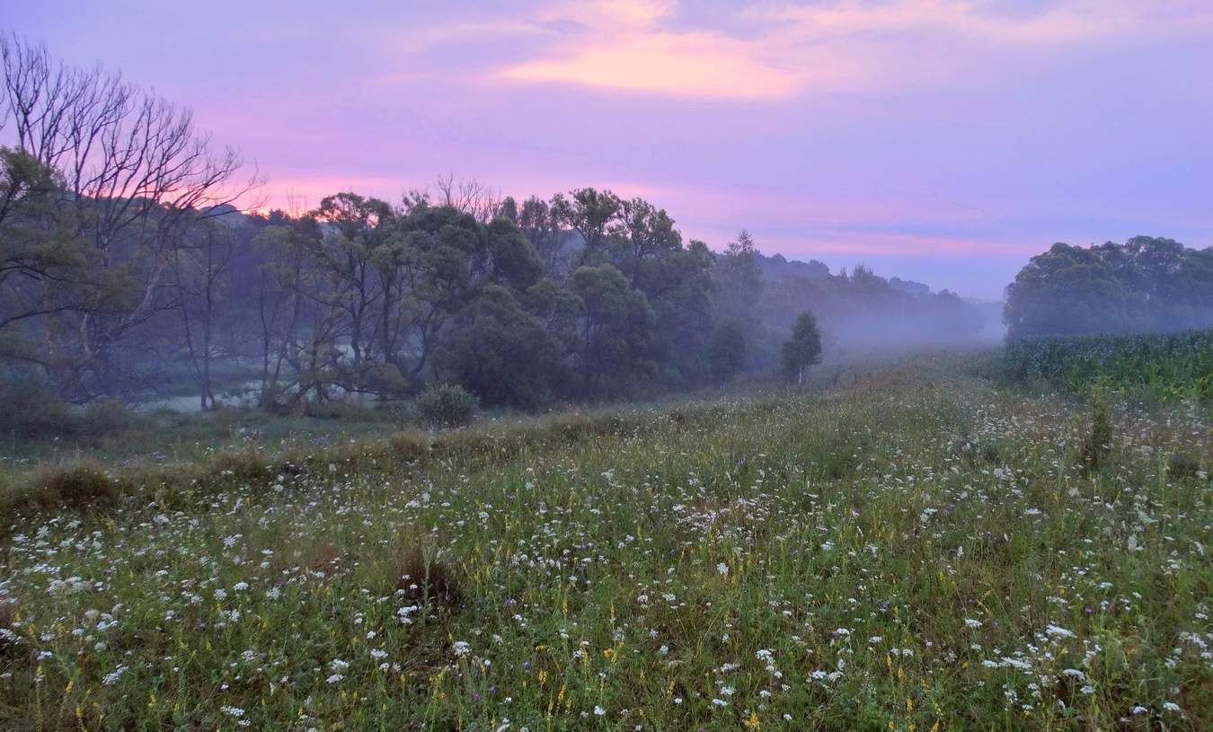 Рассвет в тумане