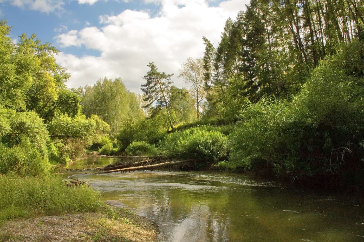 *ЛЕСНАЯ РЕЧКА.**