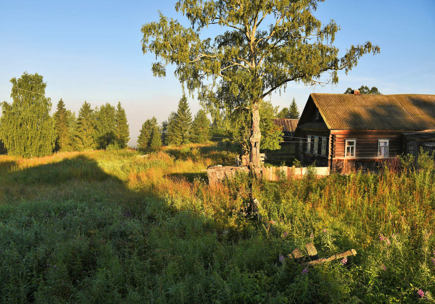Длинные тени раннего утра ...