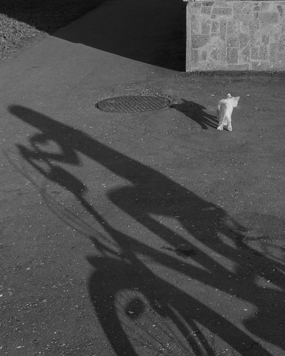 Вышел погулять