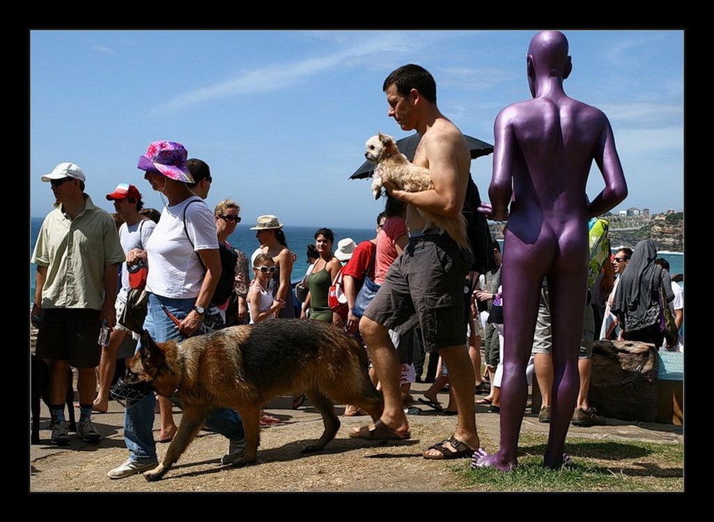 Вышел погулять