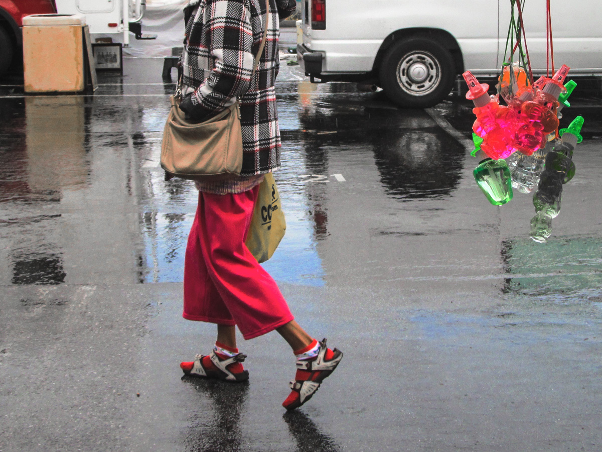 Вышел погулять