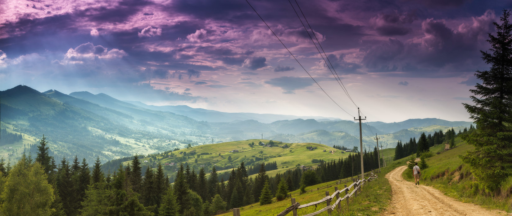 Вышел погулять