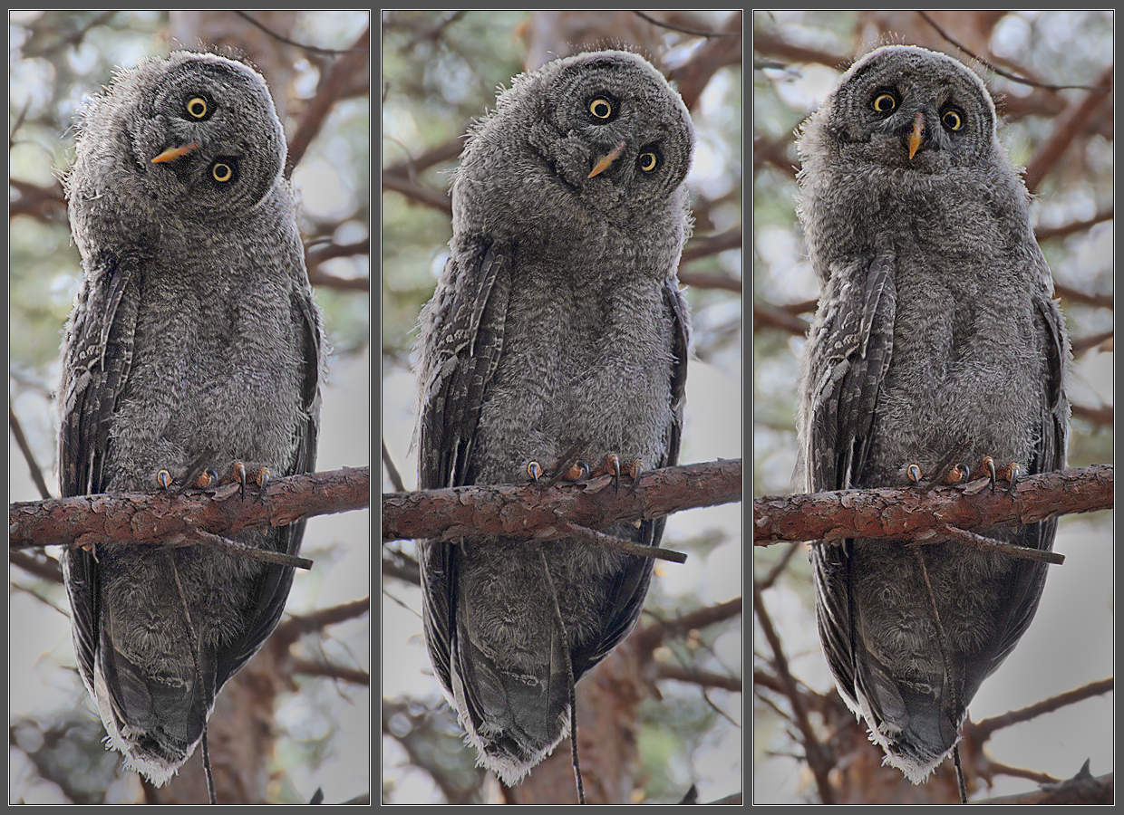 Мужчина, на вас как ни смотри - все равно вы мне не нравитесь!