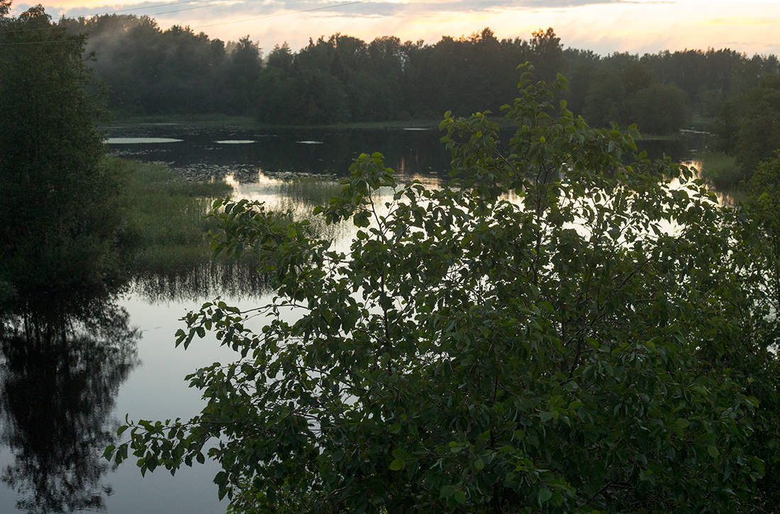 Тихий вечер