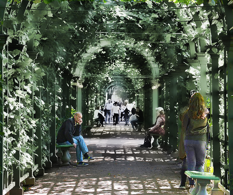 Вышел погулять