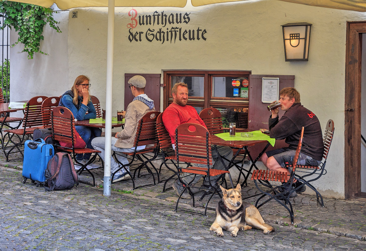 Вышел погулять