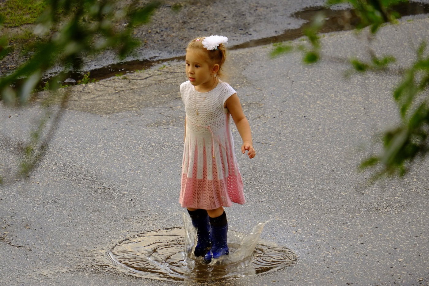 Вышел погулять