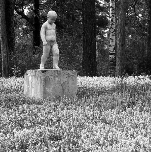 Вышел погулять