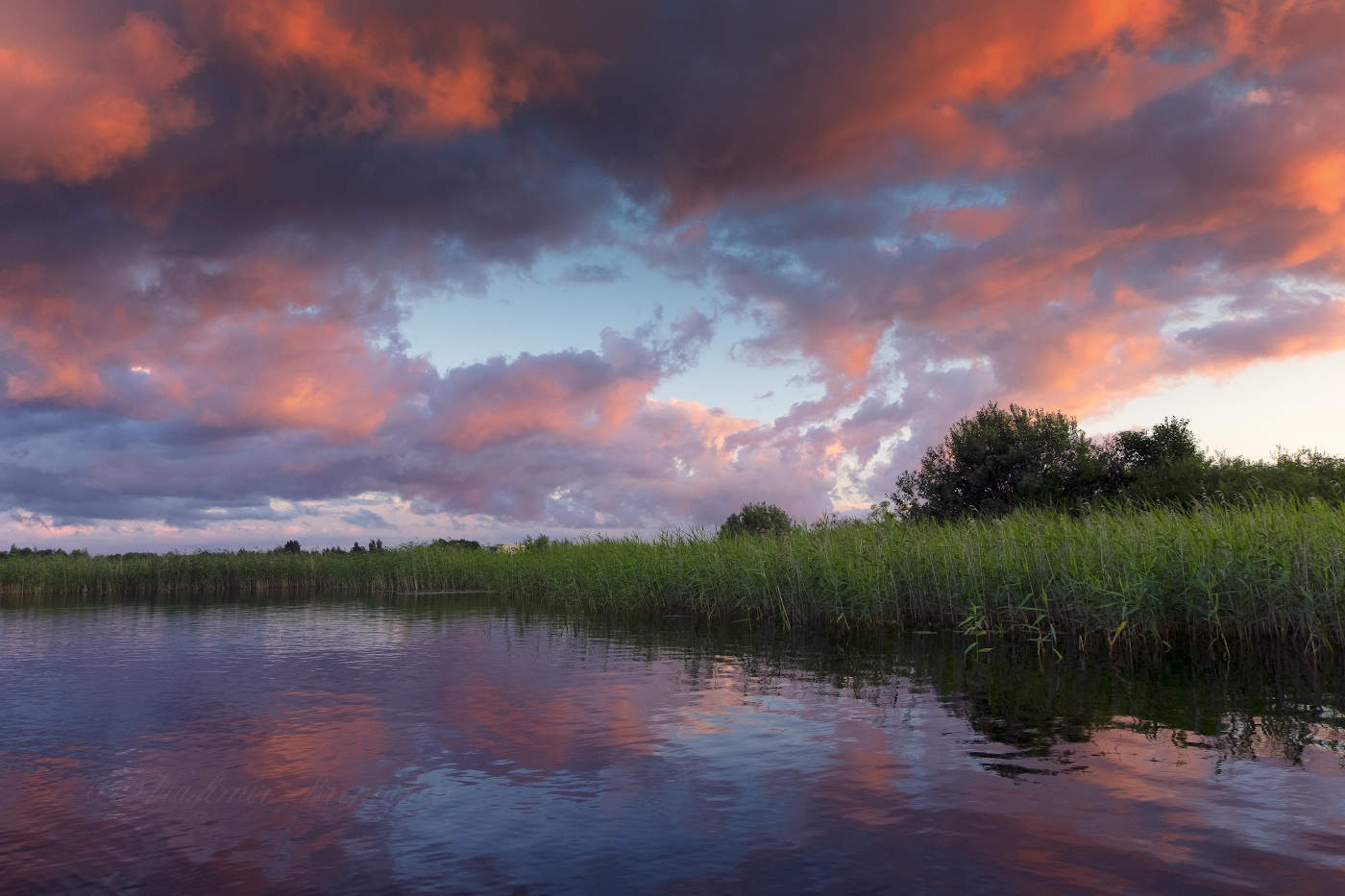 Закат в камышах